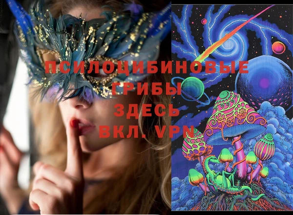 дмт Алексеевка