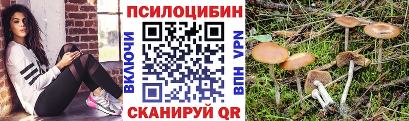 Галлюциногенные грибы Cubensis  наркота  кракен зеркало  Узловая 